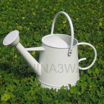 Customized Printed Metal Watering Can